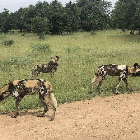 Marula Lodge Mfuwe Luaran gambar