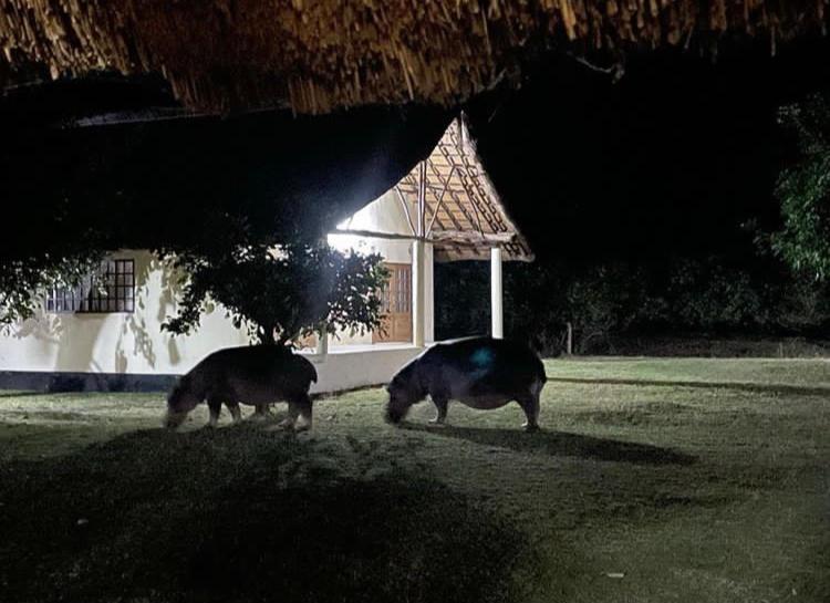 Marula Lodge Mfuwe Luaran gambar