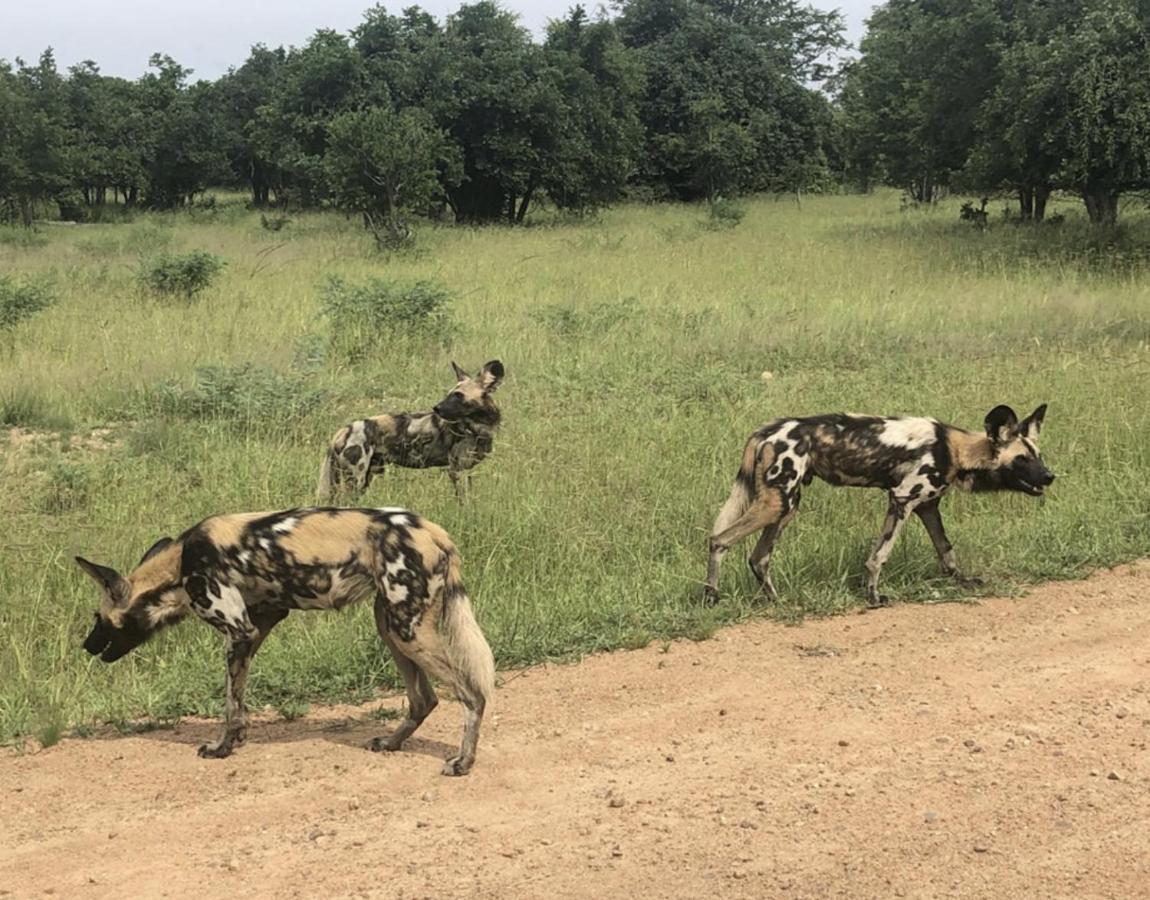 Marula Lodge Mfuwe Luaran gambar